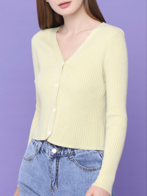 V-Neck Knitted Crop Top